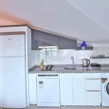 Apartment Ozy Center