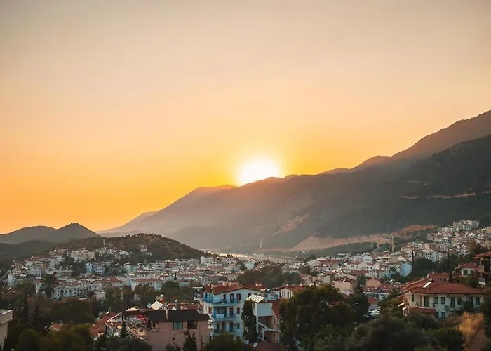 Ozy Center Apartment *