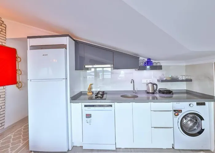 Apartment Ozy Center